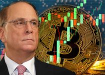 Blackrock به دنبال دموکراتیک کردن رمزارزها است - مدیر عامل می گوید بیت کوین می تواند ... - اخبار بیت کوین