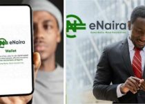 e-Naira, CBN