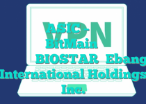 تحلیل صنعت بازار ماشین‌های استخراج ارز دیجیتال ASIC – شرکت هلدینگ فناوری‌های BitMain، هلدینگ بلاک چین، گروه BIOSTAR، Ebang International Holdings Inc.